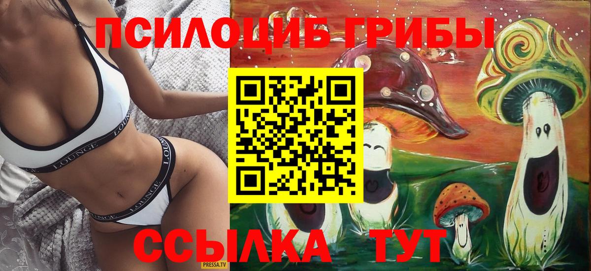 Псилоцибиновые грибы GOLDEN TEACHER Гай