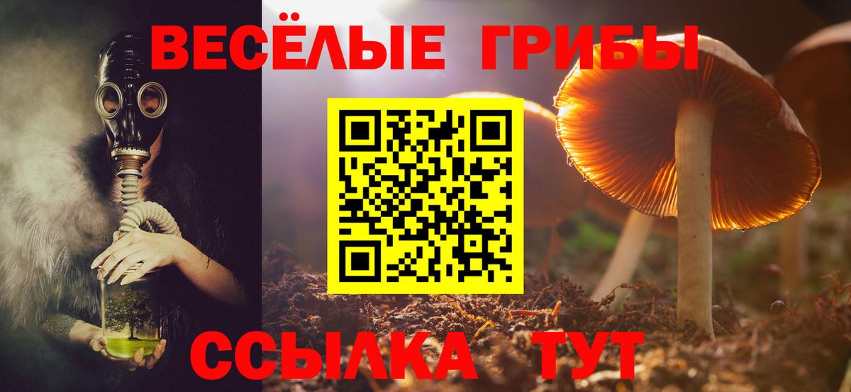 Гай  Галлюциногенные грибы MAGIC MUSHROOMS  купить наркоту  Вход с VPN 